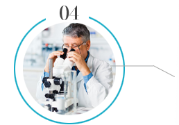 浙江旭日纖維有限公司主要生產(chǎn)和銷(xiāo)售浙江旭日纖維有限公司，丙綸超細(xì)旦絲，丙綸FDY絲，丙綸彈力絲，玉米纖維，中分子PE絲，冰絲，玉米纖維FDY